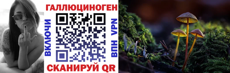 Псилоцибиновые грибы мицелий ссылка на мегу как зайти Спас-Клепики